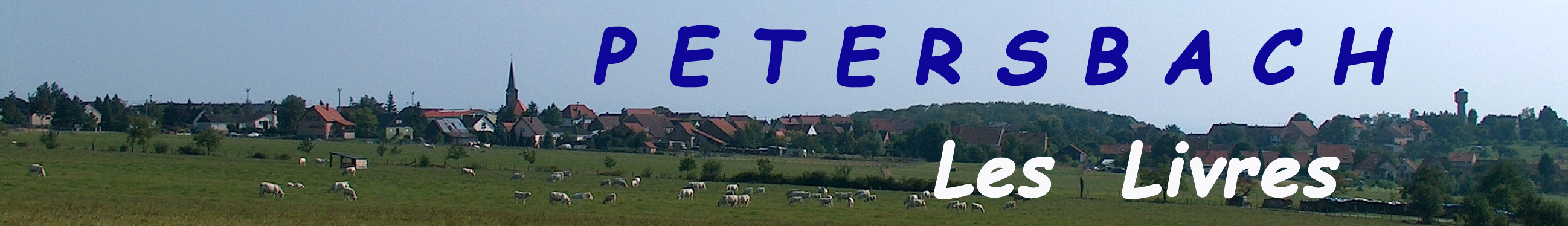 Vue sur le village de Petersbach